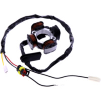 Lichtmaschine Stator 101 Octane 1232665