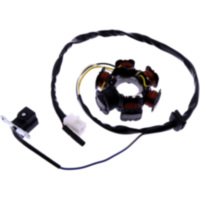 Lichtmaschine Stator 101 Octane 1232670
