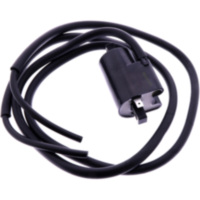 Zündspule JMP 1240008