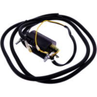 Zündspule JMP 1240009