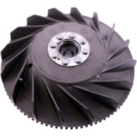 Lichtmaschine Polrad/Rotor