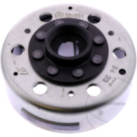 Lichtmaschine Polrad/Rotor Originalersatzteil 1248513