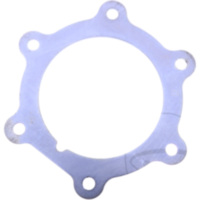 LOCKING PLATE FUEL PUMP (OE SPARE PART)