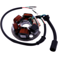 Lichtmaschine Stator 101 Octane