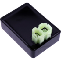 CDI-Einheit 101 Octane 1306138