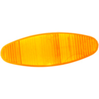 Indicator lens 100903