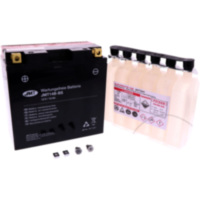 Motorcycle Battery YT14B-BS JMT