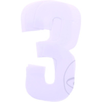 Race numbers no.3 black bird racing 1108289