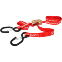 lashing strap carabiner