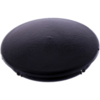 Sealing cap