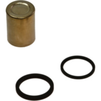 Brake caliper piston kit CPK110