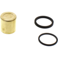 Brake caliper piston kit CPK907