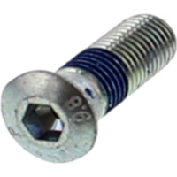 Brake disc screw (orig spare part) 9011110X0000