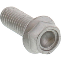 Brake disc bolt AP8152473