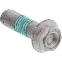 Brake disc bolt AP8152504
