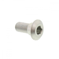 Brake disc bolt 800061777
