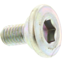 Brake disc bolt 920021775
