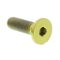 brake disk Screw JMP TIDISCBMW001G