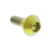 brake disk Screw JMP TIDISCR1R6G