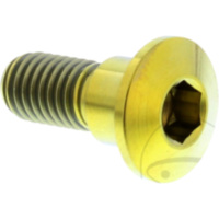 brake disk Screw JMP TIDISCSUZ20G