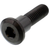 Brake disc bolt jmp probolt TIDISCTRIFRBK