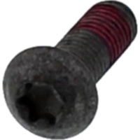 Brake disc screw 979841