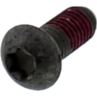 Brake disc screw 979842