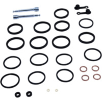 Brake caliper repair kit all balls racing 183302