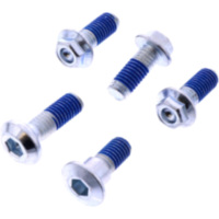 BRAKE DISC SCREW KIT EBC 1980