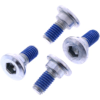 BRAKE DISC SCREW KIT EBC 1990