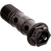 Hohlschraube doppelt M10 x 1.25 LSSBANJOD10RBK passend für Yamaha YZF-R6  600 RJ031 2000, 120 PS, 88 kw