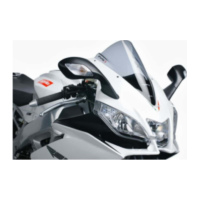 Racing screen puig 4945H