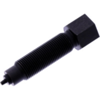 Hollow rivet bolt