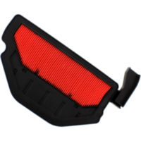 Air filter genuine oe