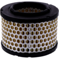 Air filter mahle LX191