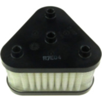 Air filter (orig spare part) 1378024H00000