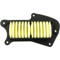 Air filter (orig spare part) 1378048G20000