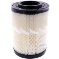 Air filter (orig spare part) 1012482