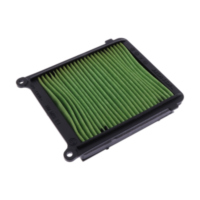 Air filter (orig spare part) 1012886