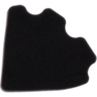 Air filter (orig spare part) 1053837