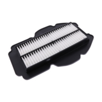 Air filter (orig spare part) 1053838
