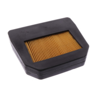 Air filter (orig spare part) 1053840