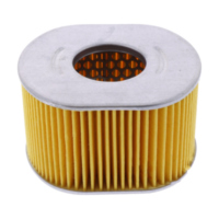 Air filter (orig spare part) 1056128