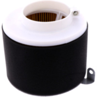 Air filter (orig spare part) 1056135