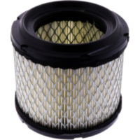 Air filter (orig spare part) 1061867