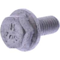 Oil drain plug (orig spare part) 1123454