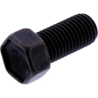 Oil drain plug (orig spare part) 1123458