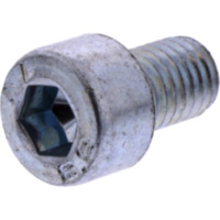 Oil drain plug (orig spare part) 1123459