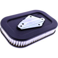 AIR FILTER (OE SPARE PART) 2954