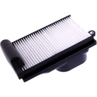 AIR FILTER (OE SPARE PART) 2993